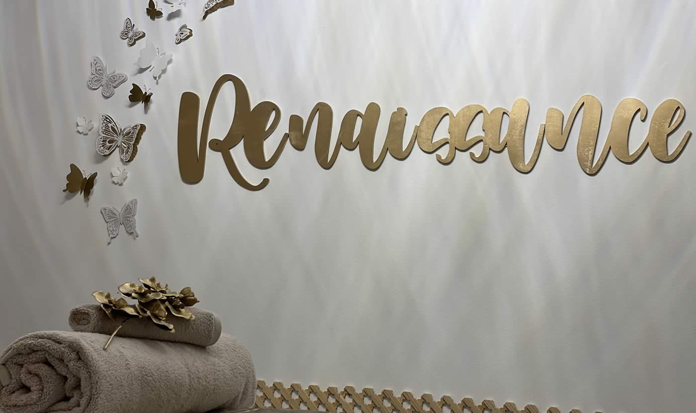 Benvingut/da a Renaissance